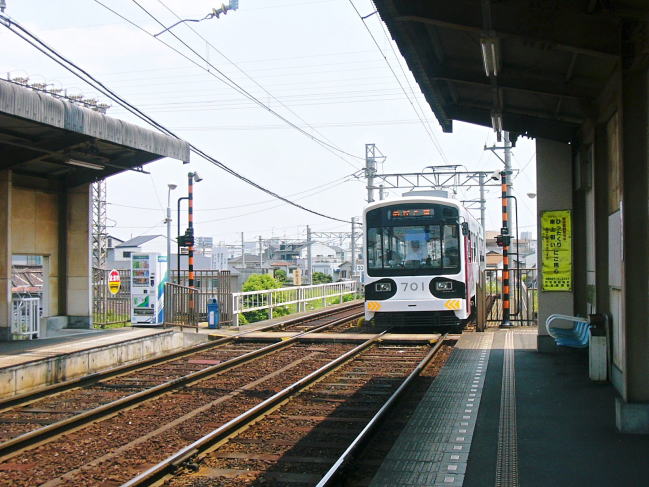 パンダ塗装の阪堺電車７０１号の
